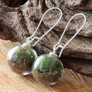 2 Paare 16MM Glaskugel Löwenzahn Samen Ohrringe Öko Ohrring Botanischer Schmuck Natur Echte getrocknete Blumen Ohrhänger für Frauen