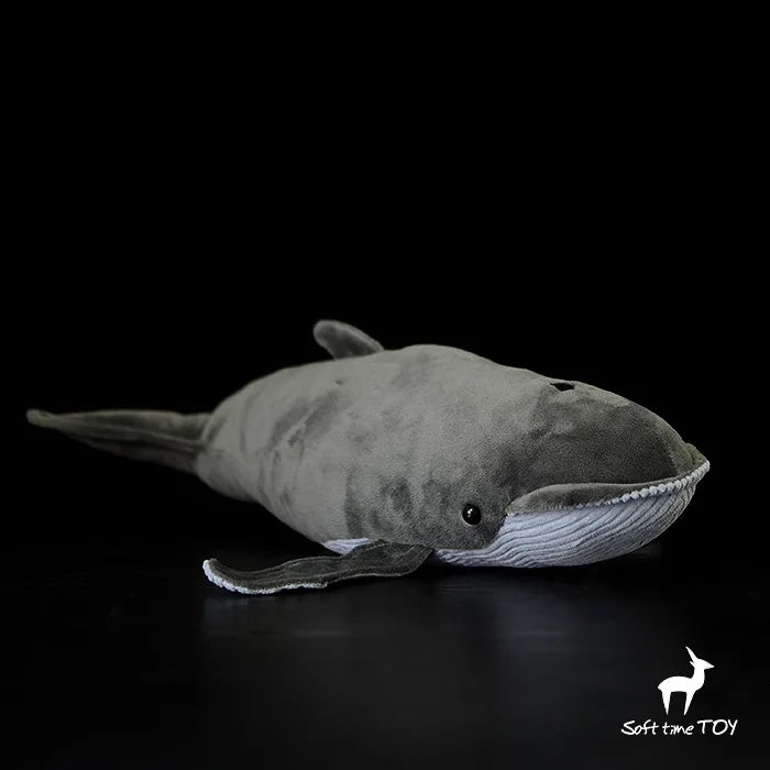 cute plush toy lovely sea animal whalebone whale killer whale shark Manta Ray soft doll birthday Christmas gift 1pc