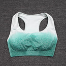 NORMOV 3PCS Fitness Two Piece Set Women Seamless Leggings Long Sleeve Crop Top Sports Bra Tracksuit Wear Workout Sports Suit