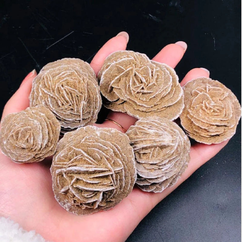 Natural Beautiful Quartz Desert Rose Crystal Mineral Selenite Raw Stones Specimens Rough Gem Adenium Obesum for Reiki Healing