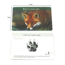 72PCS Montessori Lernkarten Tiere Fußspuren Montessori Englisch Lernen Karte Frühes Lernspielzeug Memory-Spiel für Kinder