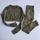 Women Seamless Yoga Sets High Waist Gym Mesh Leggings Shirts Suit Long Sleeve Fitness Workout Sports Running Thin Yoga Sets
