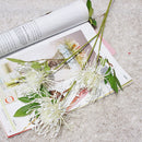White Leucospermum Artificial Flowers Long Branch Fake Flower Plastic Flowers for Wedding Decoration Garden Outdoor High Quality