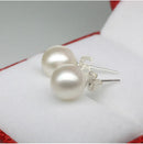 925 Sterling Silber Schmuck Natürliche Oblate Perlenohrringe Schmuck für Frauen 6-8-10mm Süßwasser Einfache Perlenohrringe