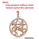 Tierkreiszeichen 12 Konstellation Anhänger Halskette 585 Roségold Farbe Horoskop Halskette Herren Kette Geschenk Modeschmuck GPM21
