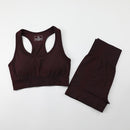 Workout Clothes For Women Seamless Yoga Sports Suits Sport Bra Top+High Waist Fitness Shorts 2 Piece Gym Set Running Sportswear