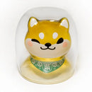 44558260404447|44558260437215