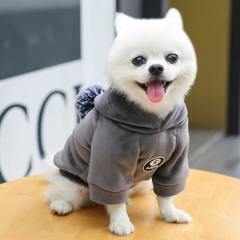 Clothes For Pets  Hooded Golden Velvet Thickened Dog Clothes Autumn and Winter New Two Legged  Sweater For Cats and  Dogs Warm