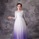 Girl's Princess Frozen Snow Queen Elsa Party Cosplay Costume Dress