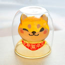 44558260469983|44558260502751