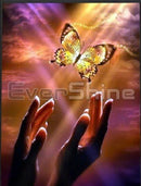 Evershine Diamond Embroidery Butterfly Cross Stitch Full Square Round Diamond Painting Hand Rhinestones Pictures Handicrafts