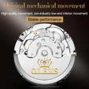 OLEVS Original Uhr für Herren, Automatische Mechanische Armbanduhr, Top-Marken Luxus Tourbillon Armbanduhr Klassische Herren Schwarze Uhren 6607