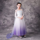 Girl's Princess Frozen Snow Queen Elsa Party Cosplay Costume Dress