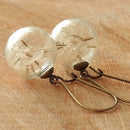 2 Paare 16MM Glaskugel Löwenzahn Samen Ohrringe Öko Ohrring Botanischer Schmuck Natur Echte getrocknete Blumen Ohrhänger für Frauen