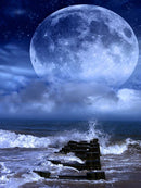 44499660177631|44499660210399|44499660243167|44499660275935|44499660308703|44499660341471|44499660374239|44499660407007|44499660439775|44499660472543|44499660505311|44499660538079|44499660570847|44499660603615