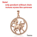 Tierkreiszeichen 12 Konstellation Anhänger Halskette 585 Roségold Farbe Horoskop Halskette Herren Kette Geschenk Modeschmuck GPM21