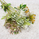 White Leucospermum Artificial Flowers Long Branch Fake Flower Plastic Flowers for Wedding Decoration Garden Outdoor High Quality