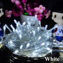 44612946591967|44612946624735|44612946657503|44612946690271|44612946723039|44612946755807