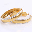 Three Color Stainless Titanium Steel Gold Wings Women Crystal Hoop Earrings for Wedding