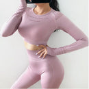Women Seamless Yoga Sets High Waist Gym Mesh Leggings Shirts Suit Long Sleeve Fitness Workout Sports Running Thin Yoga Sets