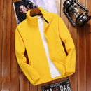 45135457878239|45135457911007|45135458009311|45135458042079|45135458074847|45135458107615