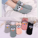 5 Pairs/Lot Cotton Women Socks Female Harajuku Casual Boat Cartoon Kawaii Cat Cute Invisiable Funny Girl Ankle Sock Set Gift