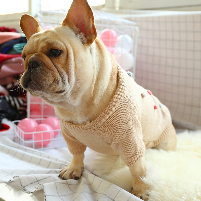 PETCIRCLE Dog Clothes Keep Warm In Autumn And Winter French Bulldog Corgi Two-leg Casual Comfortable Sweater