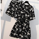 44437557346527|44437557379295|44437557412063|44437557477599|44437557510367|44437557543135