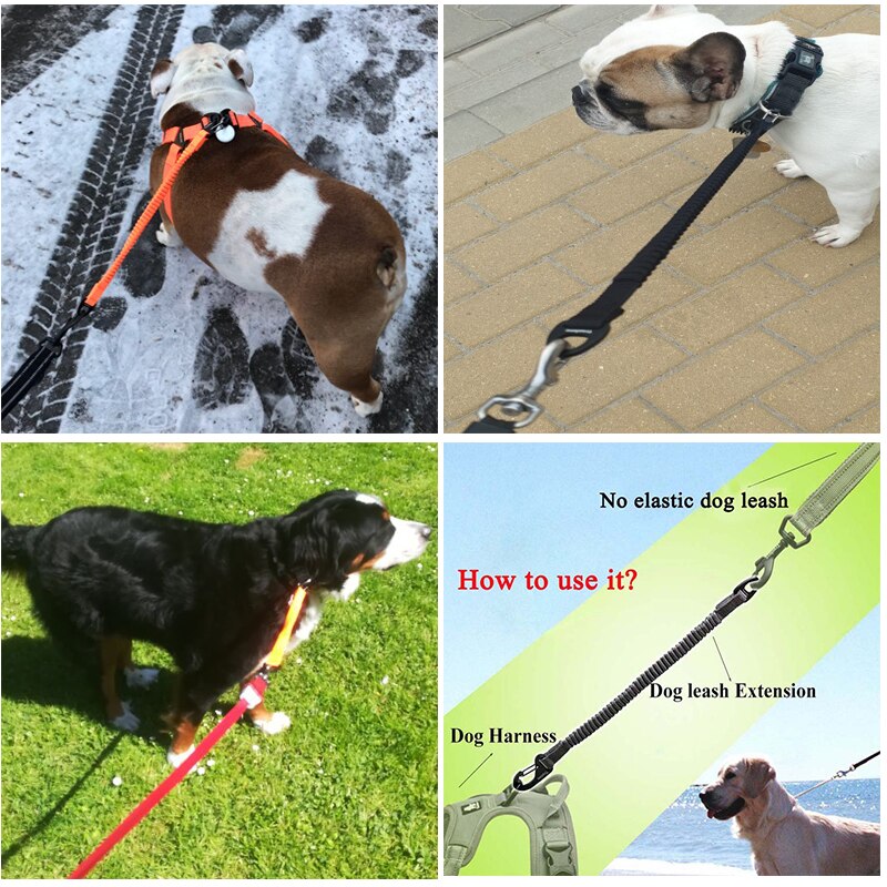 Truelove Buffer Bungee Dog Leash for Outdoor All Breed Dogs Training Running Walking Safe Leashs for Dog Harness Collar Leash