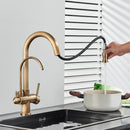 Rozin Filter Water Kitchen Faucet 2 in 1 Antique Brass Pull Out Nozzle Kitchen Purification Crane 2 Ways Swivel Mixer Tap