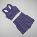 Workout Clothes For Women Seamless Yoga Sports Suits Sport Bra Top+High Waist Fitness Shorts 2 Piece Gym Set Running Sportswear