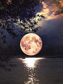 44499661553887|44499661586655|44499661619423|44499661652191|44499661684959|44499661717727|44499661750495|44499661783263|44499661816031|44499661848799|44499661881567|44499661914335|44499661947103|44499661979871