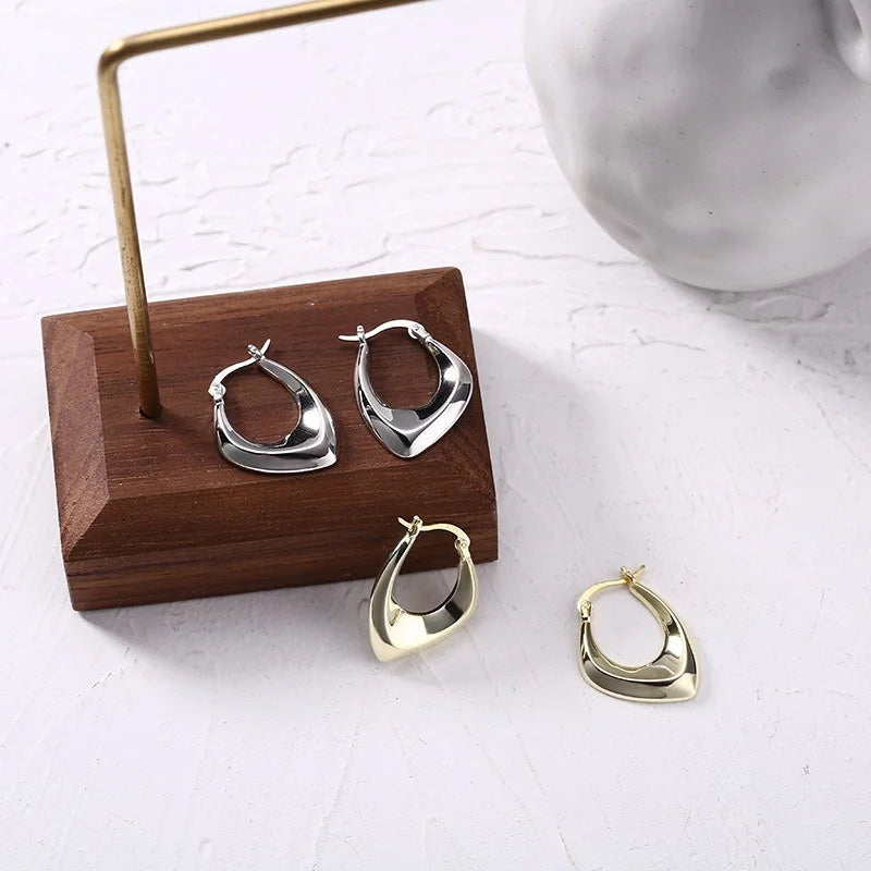 925 Sterling Silver Metal Irregular Hoop Earrings for Women Ins Niche Geometric Earrings Oorbellen Wholesale