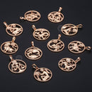 Tierkreiszeichen 12 Konstellation Anhänger Halskette 585 Roségold Farbe Horoskop Halskette Herren Kette Geschenk Modeschmuck GPM21