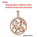 Tierkreiszeichen 12 Konstellation Anhänger Halskette 585 Roségold Farbe Horoskop Halskette Herren Kette Geschenk Modeschmuck GPM21