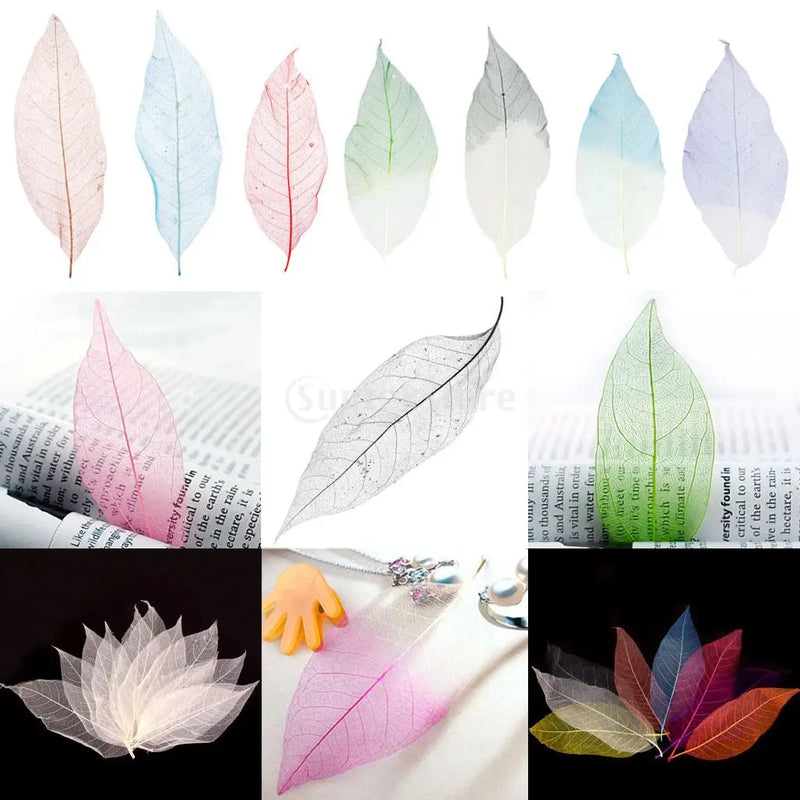 50Pcs Natural Magnolia Skeleton Leaf Leaves Card Scrapbooking Embellishments Multi-Purpose Craft Supplies Gift For friend