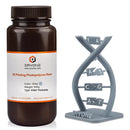 45408201441503|45408203374815|45408203571423|45408208584927|45408208650463|45408208814303|45408208945375