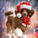 44543013716191|44543013748959|44543013781727|44543013814495|44543013847263|44543013880031|44543013912799|44543013945567|44543013978335