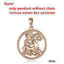 Tierkreiszeichen 12 Konstellation Anhänger Halskette 585 Roségold Farbe Horoskop Halskette Herren Kette Geschenk Modeschmuck GPM21