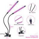 LED Grow Light USB Phyto Lamp Full Spectrum Fitolamp With Control Phytolamp For Plants Seedlings Flower Home Tent