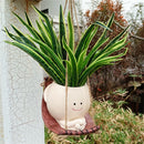 Hanging Hammock Planter Resin Swing Smile Face Planter Creative Cute Plant Succulent Pots for Indoor Outdoor Plant