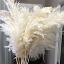 The Meadow Whisper | Bohemian Pampas Grass Bouquet
