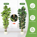 The Evergreen Statement | 5-7ft Artificial Fiddle Leaf Fig Tree