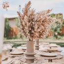 30Pcs Natural Fluffy Pampas Grass Dried Rabbit Tail Bouquet Wedding Party Decoration Pompas Artificial Flower Christmas Supplies