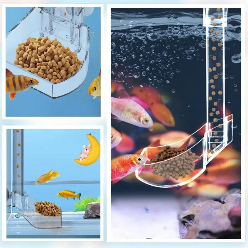 Aquarium Feeding Tube Clear Fish Tank Shrimp Feeder Tube Tray Clear Fish Tank Shrimp Feeder Tube Tray And Feeding Dish Set For
