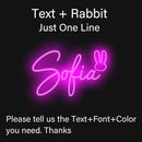 Name Neon Sign Led Dimmable Custom Neon Sign Wedding Birthday Customized Gifts Boy Girl Bedroom Wall Decor Hanging Neon USB 5V