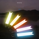 5 Stück/Beutel reflektierender Leuchtanhänger für Kinder, PVC-Fluoreszierendes Band, Anhänger, Schlüsselanhänger, Warnsicherheit bei Nacht für Schüler und Erwachsene