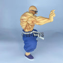 Dragon Ball Master Roshi Figure Kame Sennin Figurine 24CM PVC Action Figures Collection Model Toys for Children Gifts
