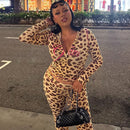 VEITCHE Women's Summer Outfit Casual Leopard Print Long Pant Suit Slim Hoodie Zipper Top High Waist Trousers Set Street Style