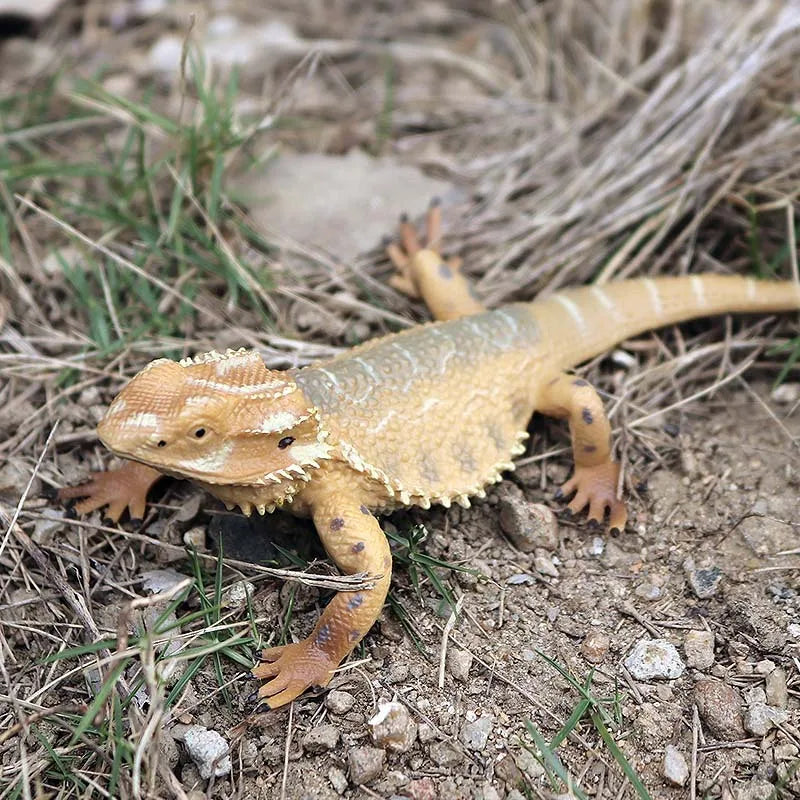 Simulation Reptile Animals Lizard Phrynosoma Chameleon Scorpion Action Figures Bearded Dragon Miniacture For Kids Education Toys